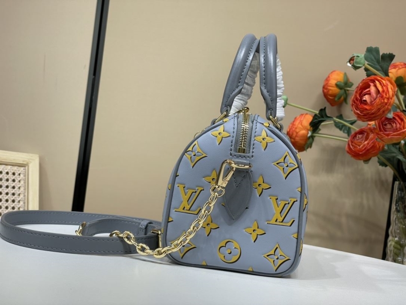 LV Speedy Bags